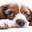 K94life logo