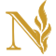 Nanche Group logo