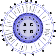 age-science.com logo