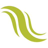 Rapid Wave Brushes logo