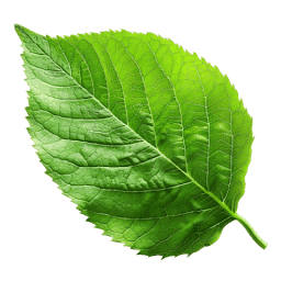 Solhaga Garden logo