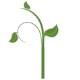 organicthebest.co.uk logo