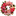 Profuneralflowers logo