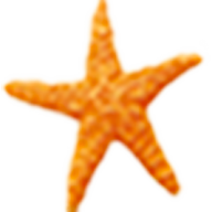 Tots Too logo