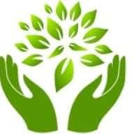 Tree Doctor USA logo