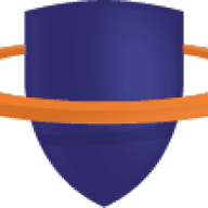 T100 Risk Manager logo