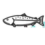 Floppyfishdogtoy logo