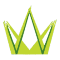 Wonderlawn - Artificial Grass Installation logo