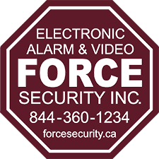 Force Security Inc logo
