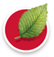 Superdiet logo