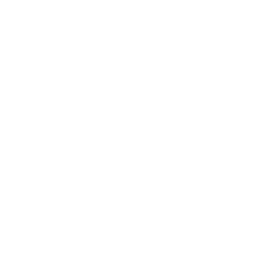 Bane Digital LLC logo