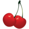 W4wrdr Rm Myshopify logo