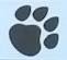 AK Pet Service logo