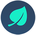 Mint Designs logo