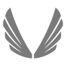ASRV Sportswear logo