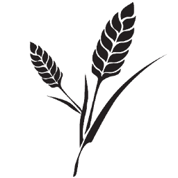 Yao Secret logo