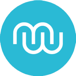 Mirrorworld logo