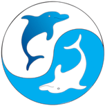Shire Martial Arts logo