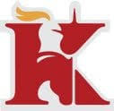 driveknight.com logo
