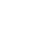 VoltHosting logo