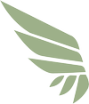 Vita Finance logo