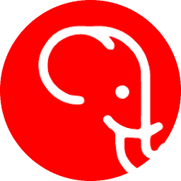 Charli Tours Sri Lanka logo