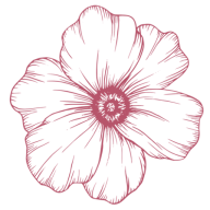 The Bloom logo