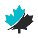 Canadianonlineexperts logo