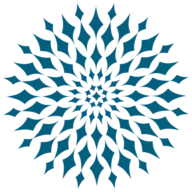 smokealarmsolutions.com.au logo