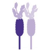 Downderry Nursery logo