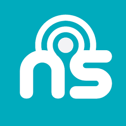 Nickelsafe logo