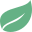 Jolly Leaf logo