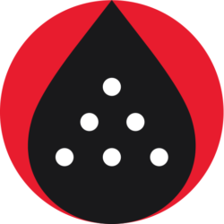 Timetoshinedetailing logo