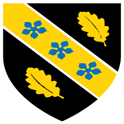 University of Wales, Trinity Saint David logo