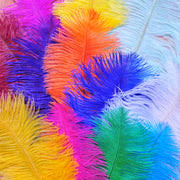 featherparadise.com logo