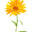 Theilexwood logo
