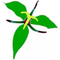Rare Plants logo