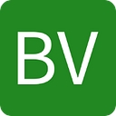 Boys V logo