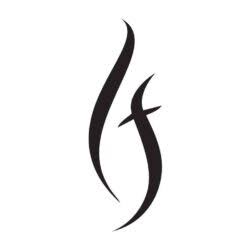 FASHIONi logo