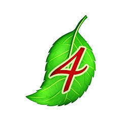 Natural4you logo