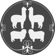 Socosy logo