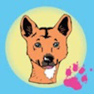 fraserdingo4wdhire.com.au logo
