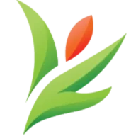 Merridy Casson Naturopath & Nutritionist logo