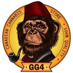 GG4 logo
