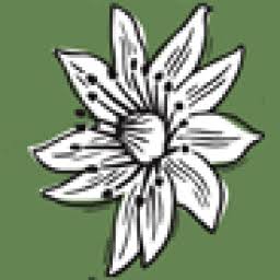 Slack Top Alpines logo