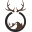 camoeverafter.com logo