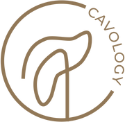 cavology.com logo
