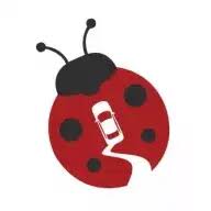 Ladybird Taxis & Airport Taxi logo