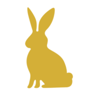 Pub Rooms logo