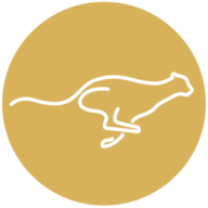 Leadersfirst logo